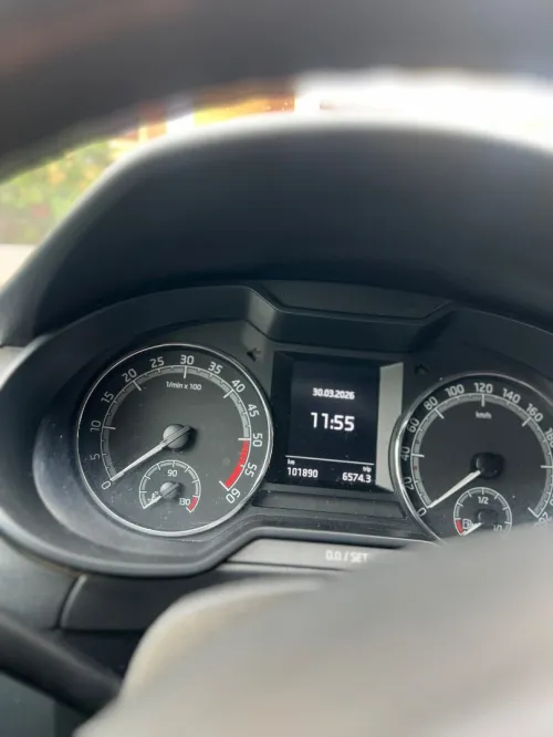 Skoda Octavia 2019 Business