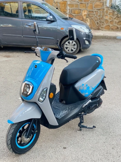 Vms Cuxi estate x 2025