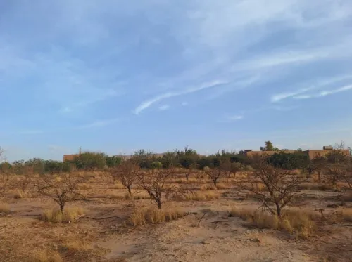Vente Terrain Agricole El Bayadh El bayadh