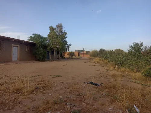 Vente El Bayadh El bayadh
