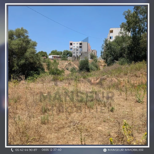 Vente Terrain Annaba Barrahel