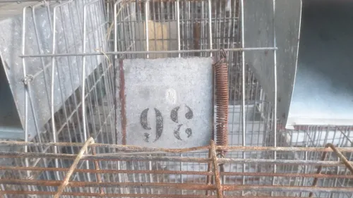 Batterie cage de lapin