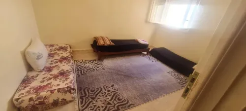 Location Appartement F3 Skikda Filfla