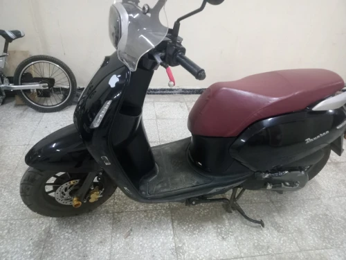 Vms Panaria 2023