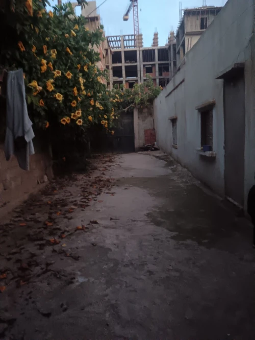 Vente bien immobilier Mostaganem Mostaganem