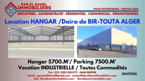 Location Hangar Alger Birtouta