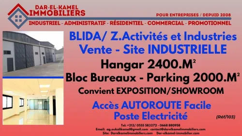 Vente Hangar Blida Blida