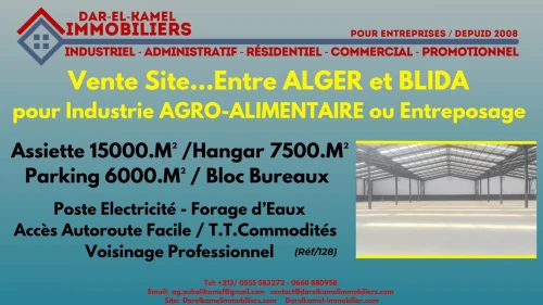 Vente Hangar Blida Boufarik
