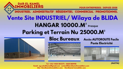 Vente Hangar - Usine Blida Blida