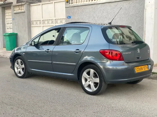 Peugeot 307 2007 Oxygo
