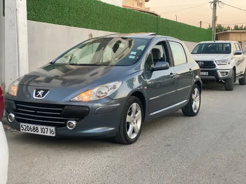 Peugeot 307 2007 Oxygo