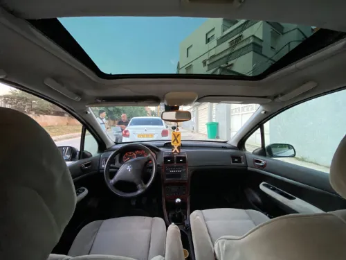 Peugeot 307 2007 Oxygo
