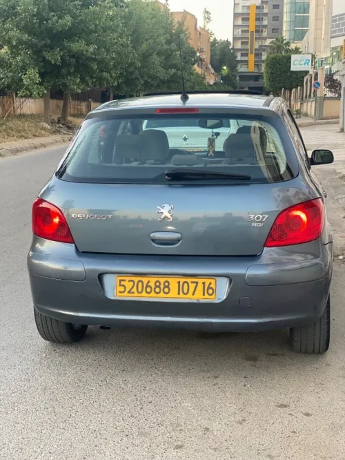 Peugeot 307 2007 Oxygo