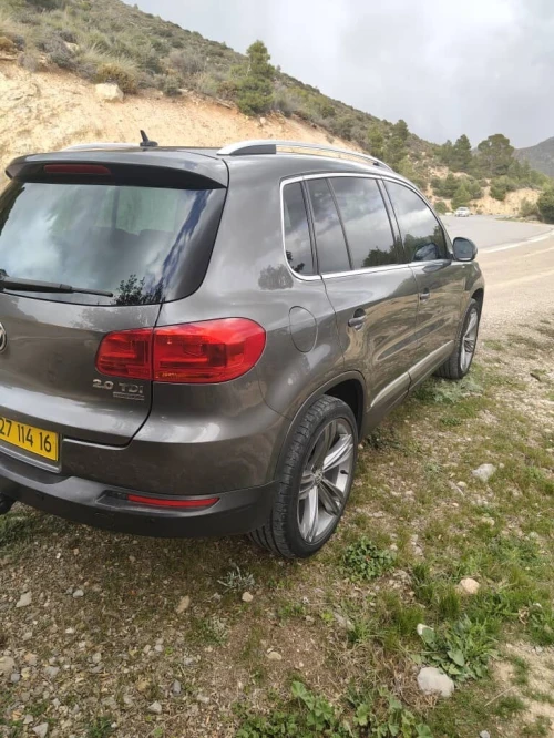 Volkswagen Tiguan 2014 Cup
