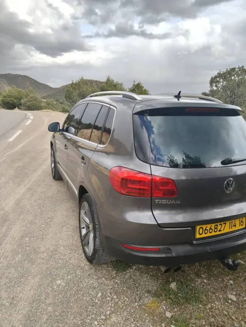 Volkswagen Tiguan 2014 Cup