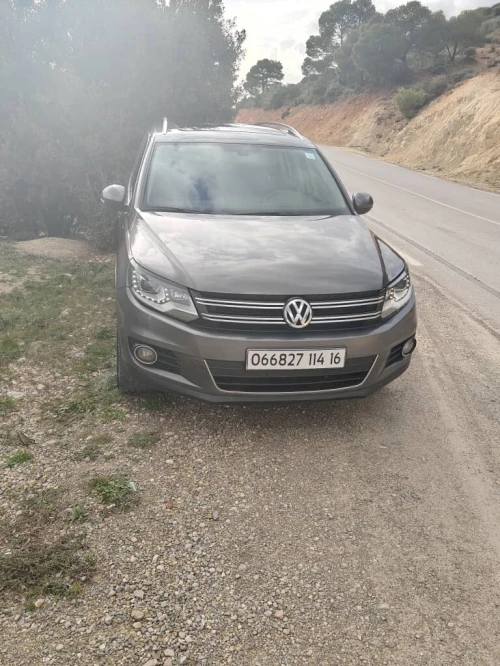 Volkswagen Tiguan 2014 Cup