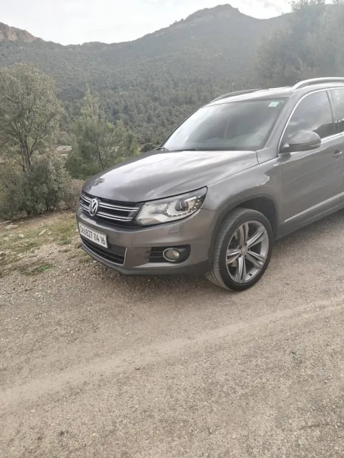 Volkswagen Tiguan 2014 Cup