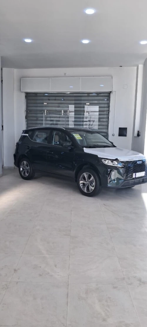 Geely Pro 2025 Full options