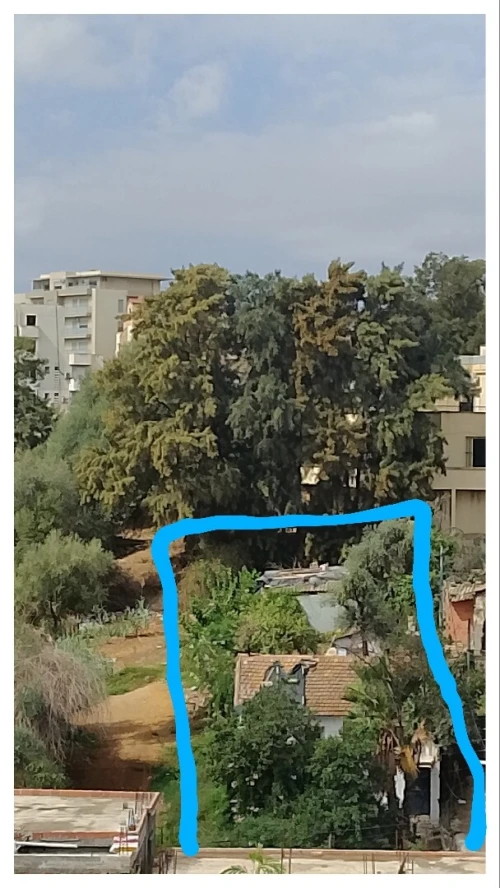 Vente Terrain Alger Ain naadja
