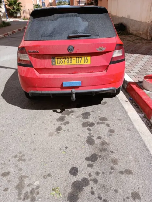 Skoda monte carlo 2017 