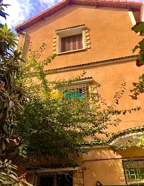 Vente Villa Blida Ouled yaich