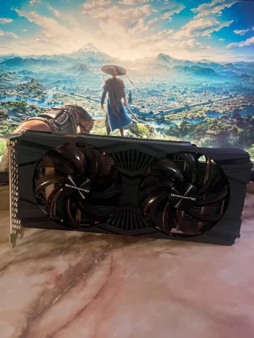 RTX 2060 GAINWARD