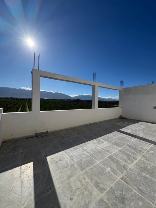 Location Hangar - Usine Blida Beni tamou