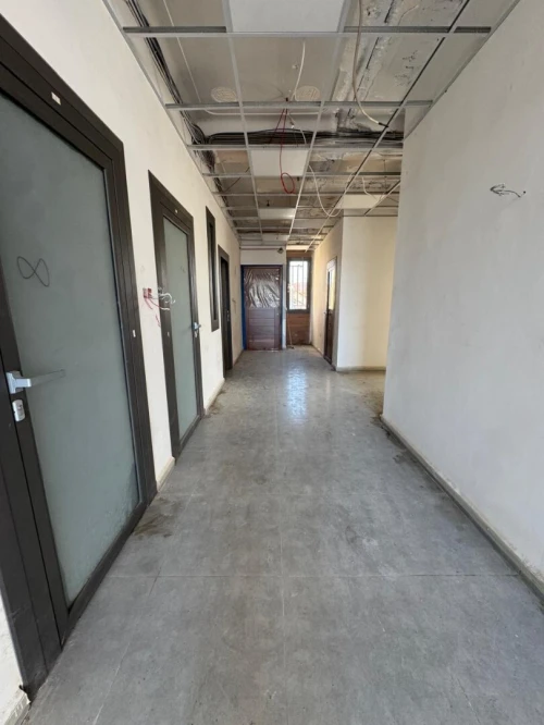 Vente Hangar - Usine Blida Beni tamou