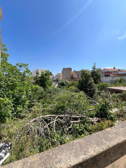 Vente Terrain Alger Dely brahim