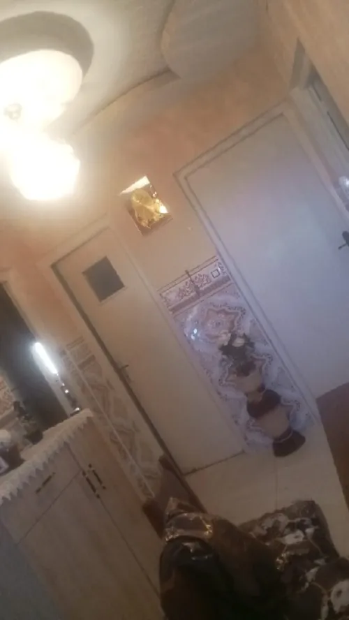 Vente Appartement F3 Oran Boutlelis