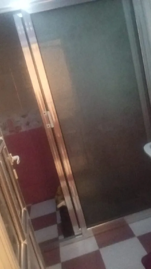 Vente Appartement F3 Oran Boutlelis