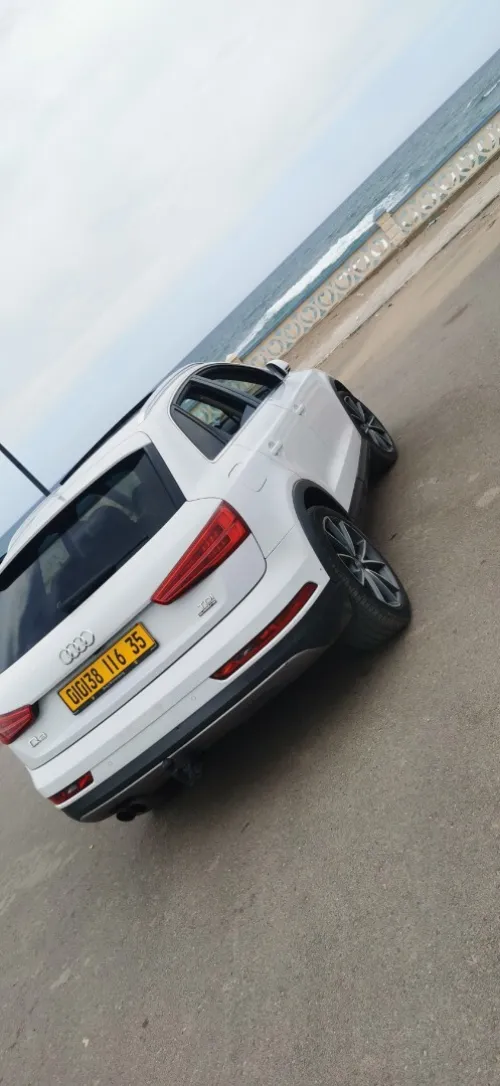 Audi Q3 2016 Off Road