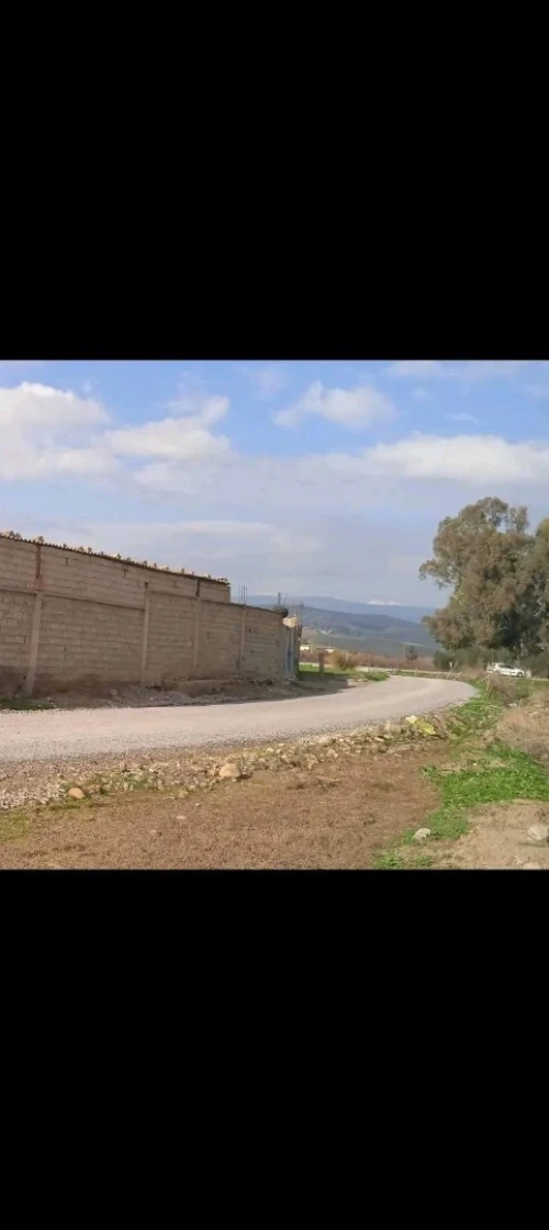 Vente Terrain Mila Ferdjioua
