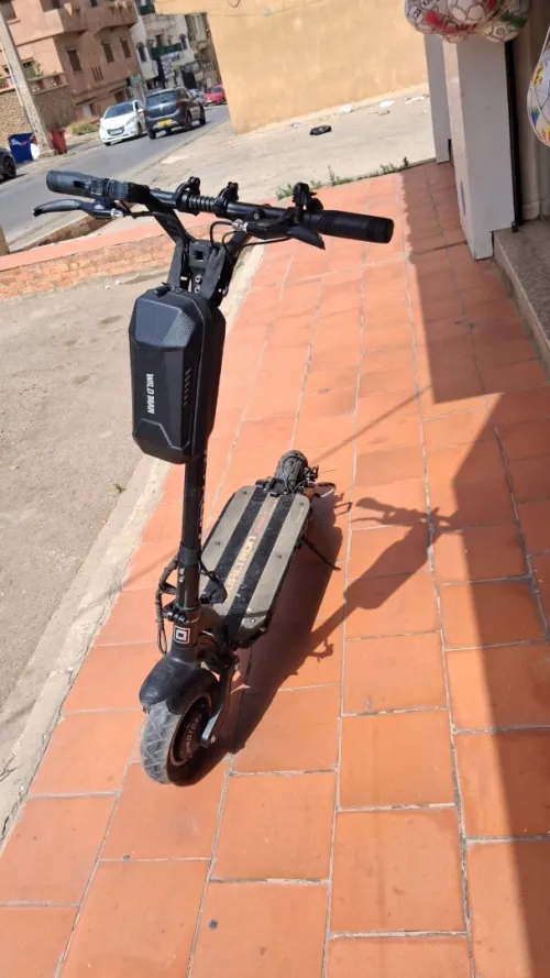 Dualtron ergle