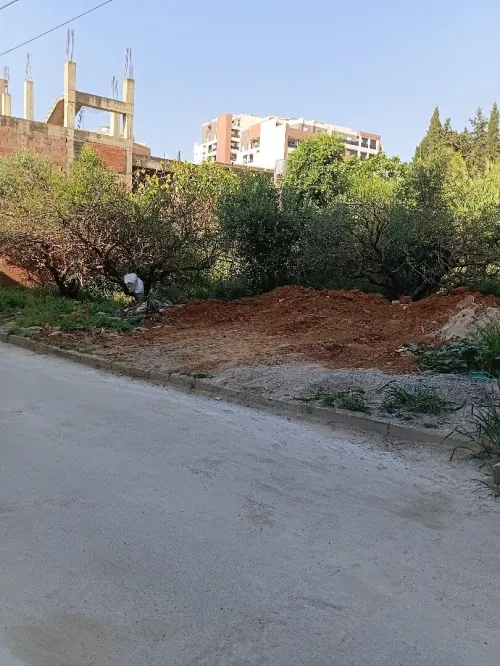 Vente Terrain Alger El achour