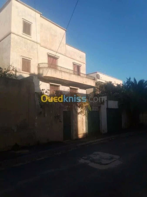 Vente Villa Chlef Tenes