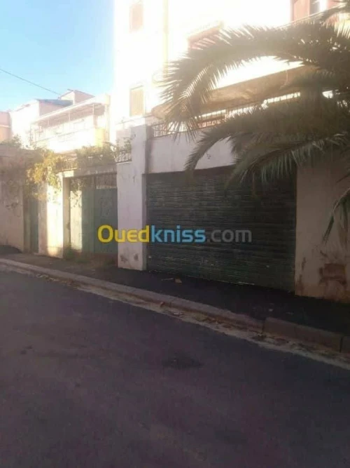 Vente Villa Chlef Tenes