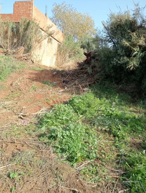 Vente Terrain Alger Beni messous