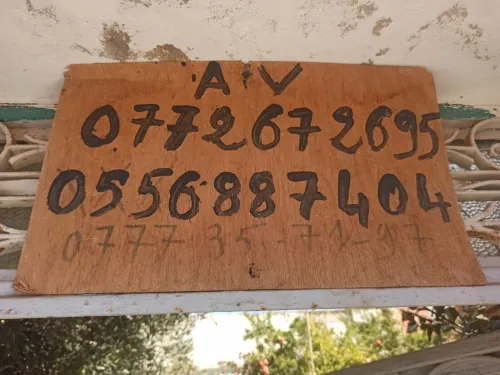Vente Terrain Mostaganem Hassi maameche