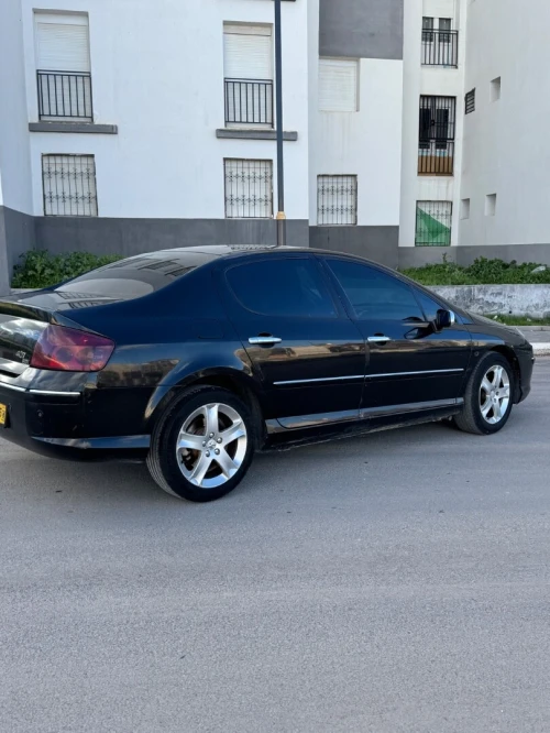 Peugeot 407 2008 407