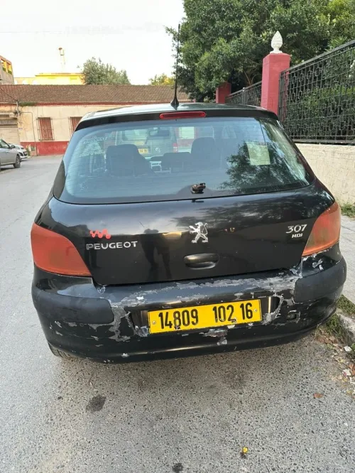 Peugeot 307 2002 