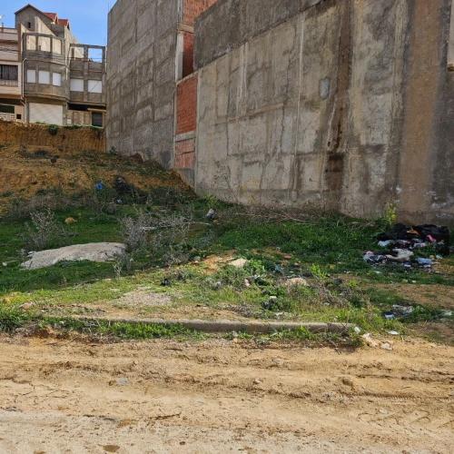 Vente Terrain Chlef Chlef