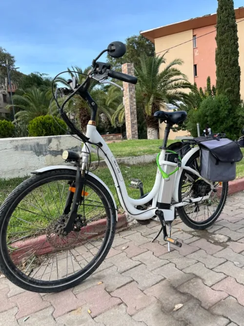 Vélo électrique 
