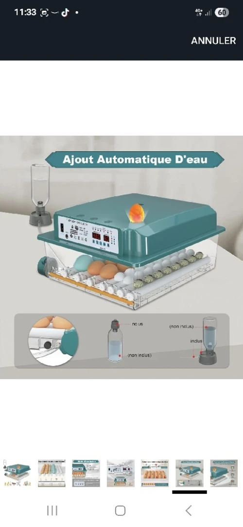 Couveuse حاضنة venu de Belgique