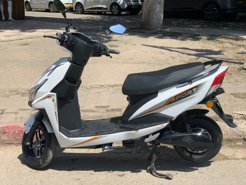 Dora King Sr 2025