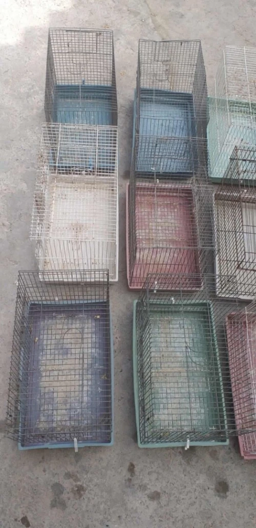 Cages à oiseaux