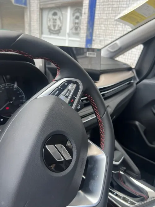 Livan X3 Pro  2025 Dachcam