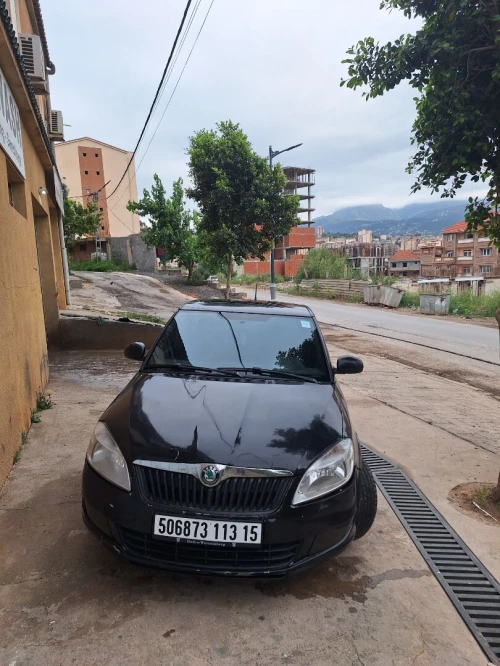 Skoda Fabia 2013 Monte-carlo