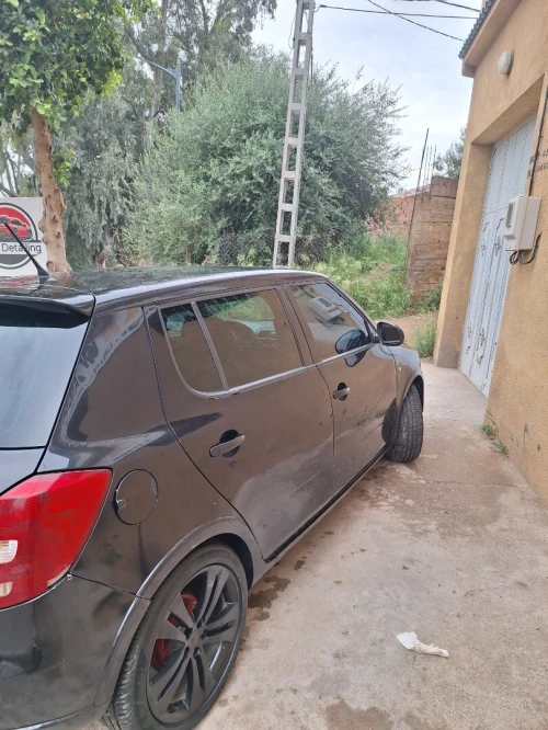 Skoda Fabia 2013 Monte-carlo