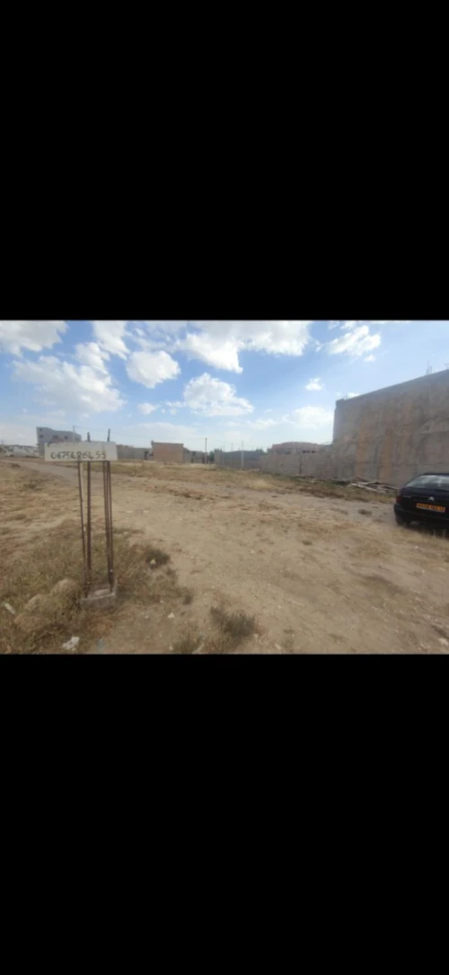 Vente Terrain Tébessa Boulhaf dir
